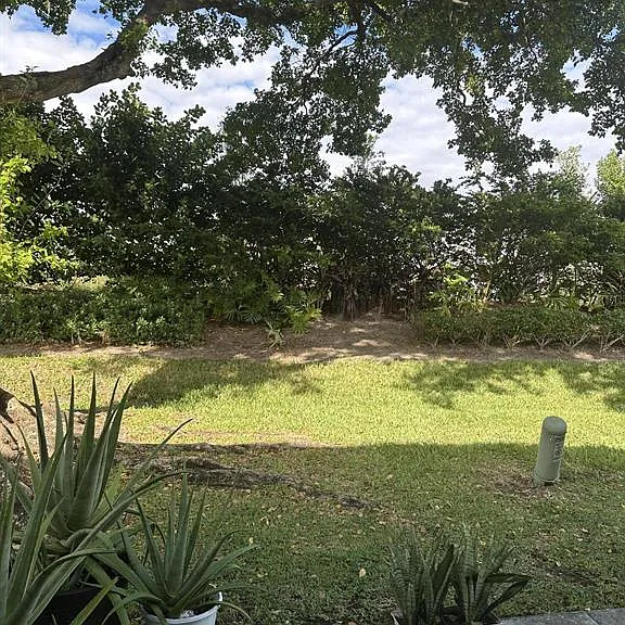 16667 Hemingway Dr — Photo 12