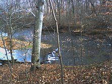 Creek through back of property