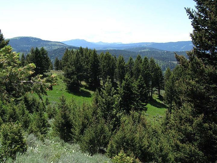 1st image of Tract 10 Rocky Mountain Mdws
