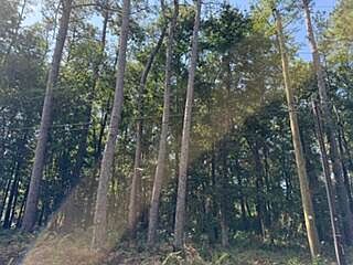 5th image of 6129 Smith Rd
