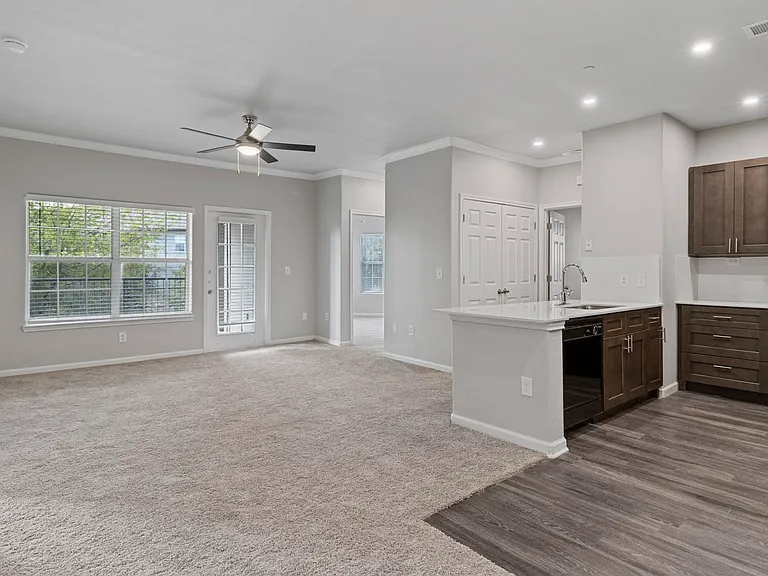 Living Area & Kitchen