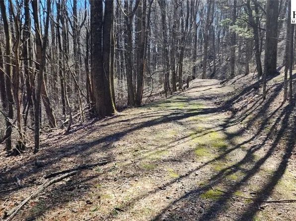 TBD Parkway Estates Road, Laurel Springs, NC 28644