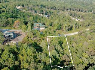 41 Ridgeline Ln, Mineral Bluff, GA 30559
