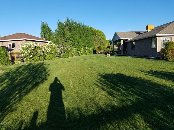 Backyard looking east