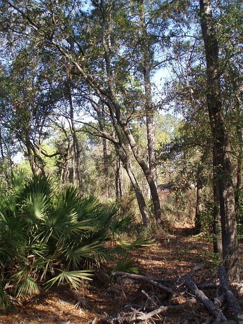 1st image of 950 State Road 13
