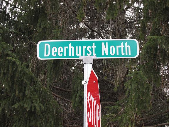 5th image of 36536 Deerhurst N #45