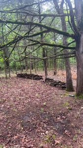 825 Jessi Road, Forsyth, MO, 65653