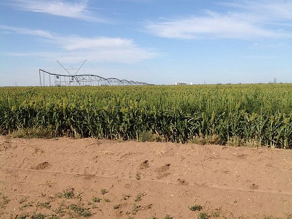 Rousser Farms 
