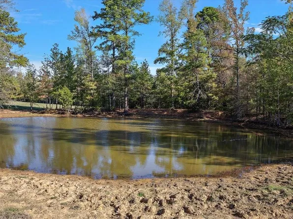 0 County Road 1601, Avinger, TX 75630