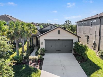 28974 Trevi Pl, Wesley Chapel, FL, 33543