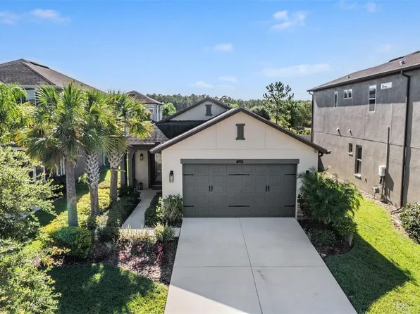 28974 Trevi Pl, Wesley Chapel, FL 33543