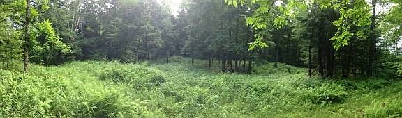 5th image of 207 Moore Drive