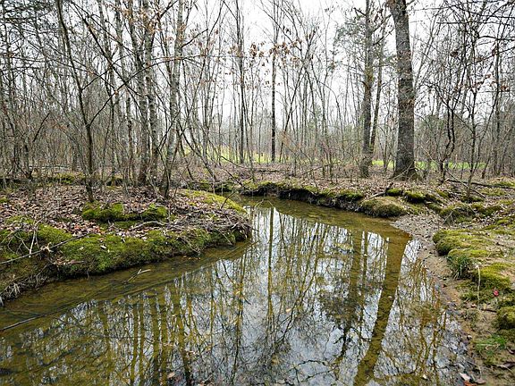 2nd image of TRACT Three Polk Rd #158