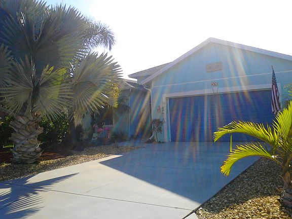 Palm trees along driveway