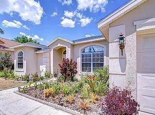 316 Crystal Goblet Ct, Valrico, FL 33594