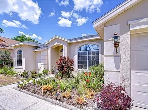 316 Crystal Goblet Ct, Valrico, FL 33594