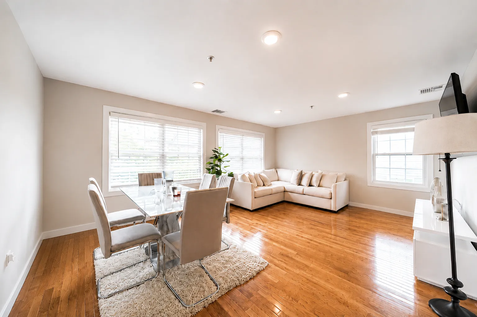 3 bed, 1200 sqft, $3,800 — Photo 1