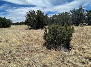 County Road 8069, Concho, AZ 85924