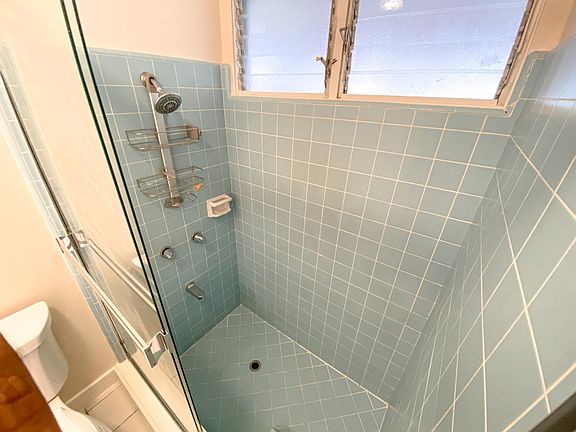 Primary Bathroom Shower