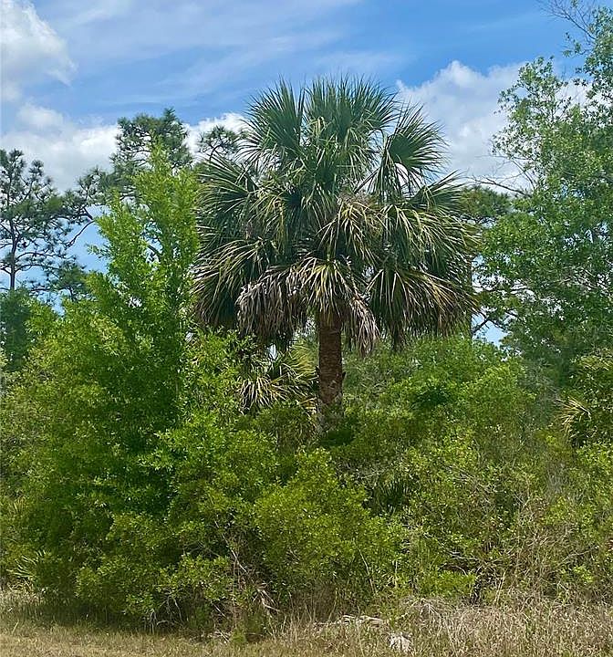 2nd image of 18484 Parallel Rd #4