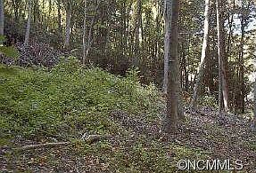 1st image of 11 Coyote Holw