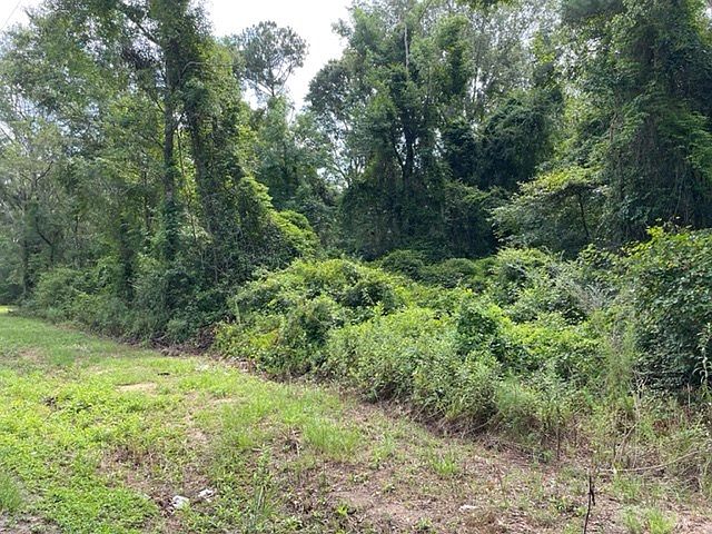 2nd image of Cannonville Dr