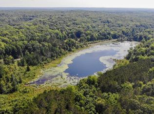 Jackson Ave, Lake, MI 48632