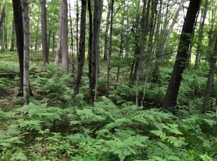 7752 N Felch Ave, Bitely, MI 49309