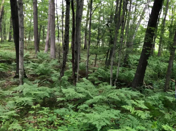 7752 N Felch Ave, Bitely, MI 49309