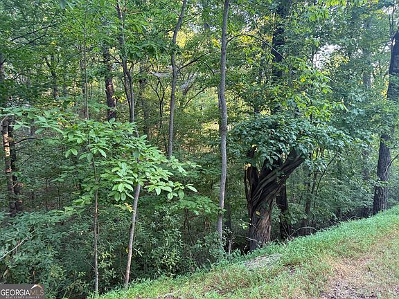 2nd image of 2333 Ford White Rd