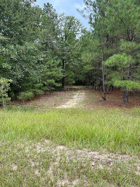 2nd image of LOT 28 Misty River Trl