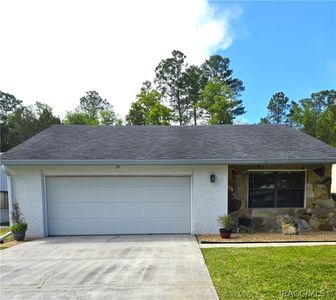 20 Bumelia Ct, Homosassa, FL, 34446
