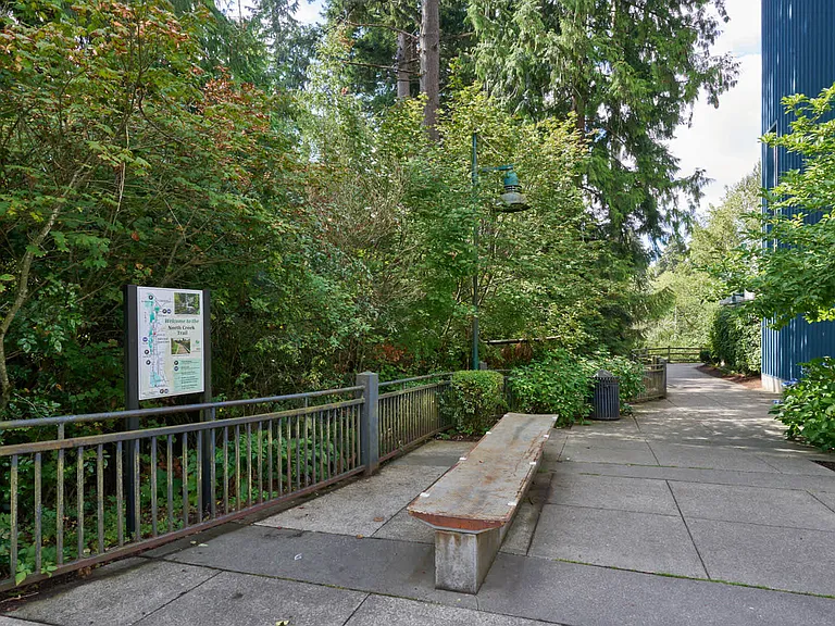 Discover the paths at Mill Creek Town Center