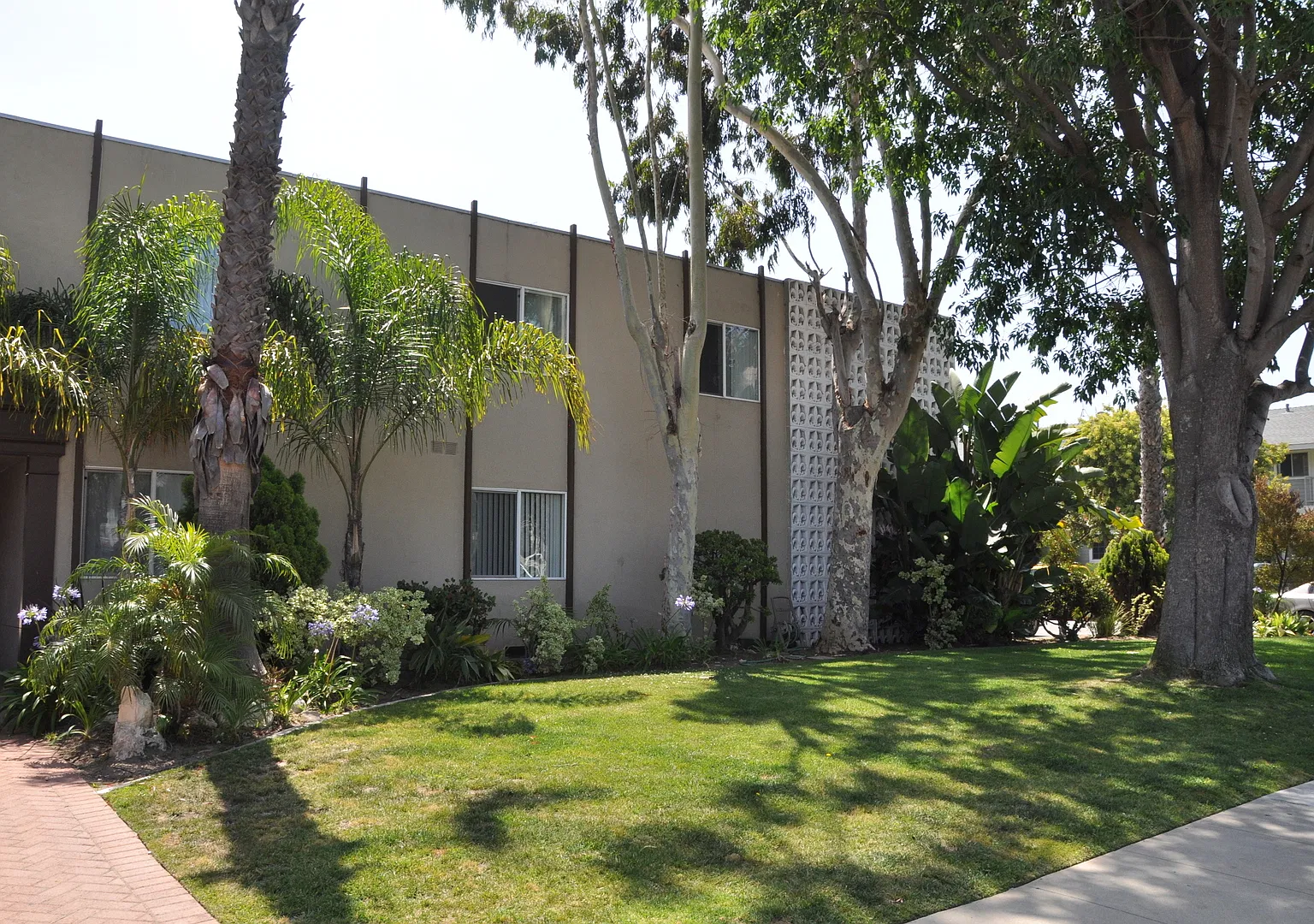 Pinnacle Amapola LLC — Photo 3