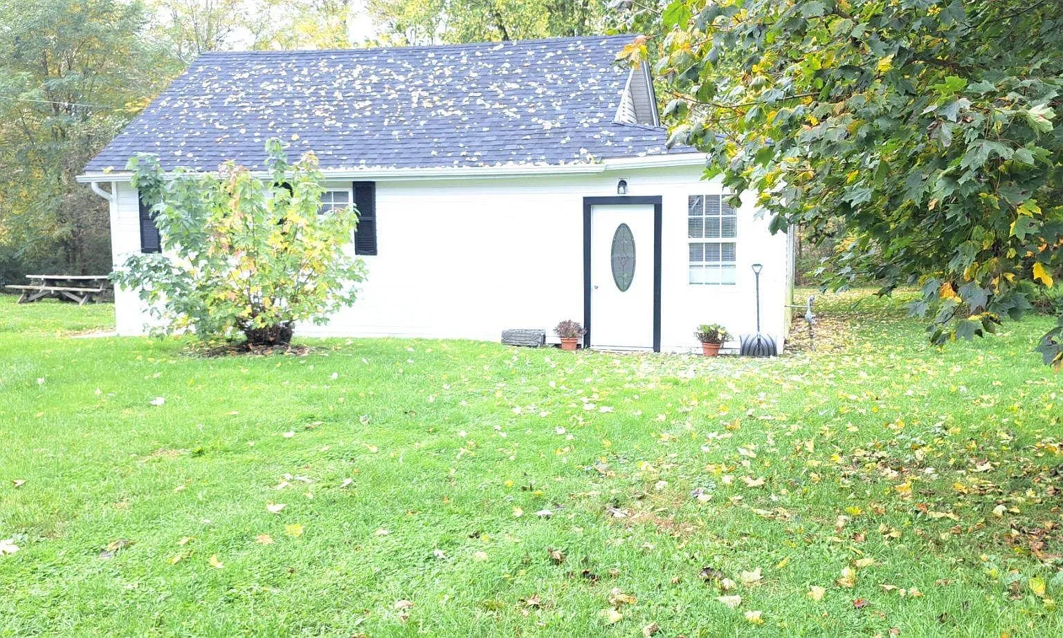 1 bed, 1000 sqft, $1,250 — Photo 1