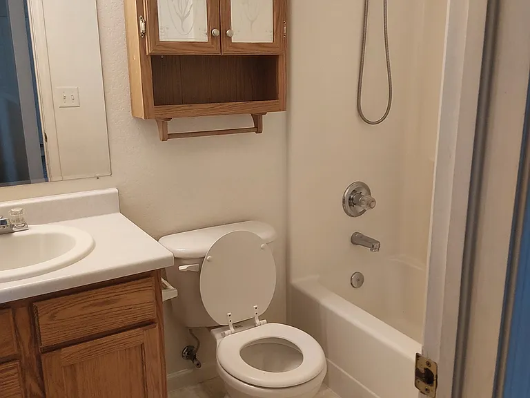 3922 Dove Ln — Photo 7