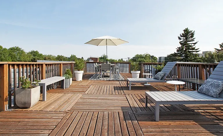 Shared roof deck with BBQ and views!
