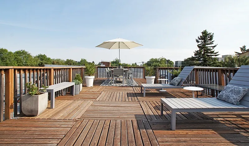 Shared roof deck with BBQ and views!
