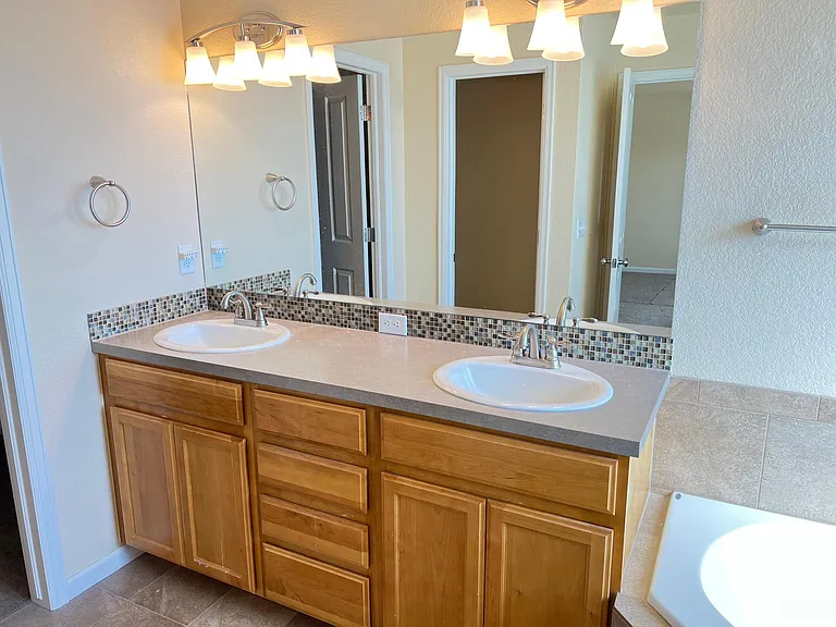 Master bathroom sinks