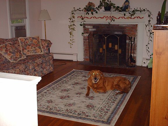 Living Room with hardwood floors