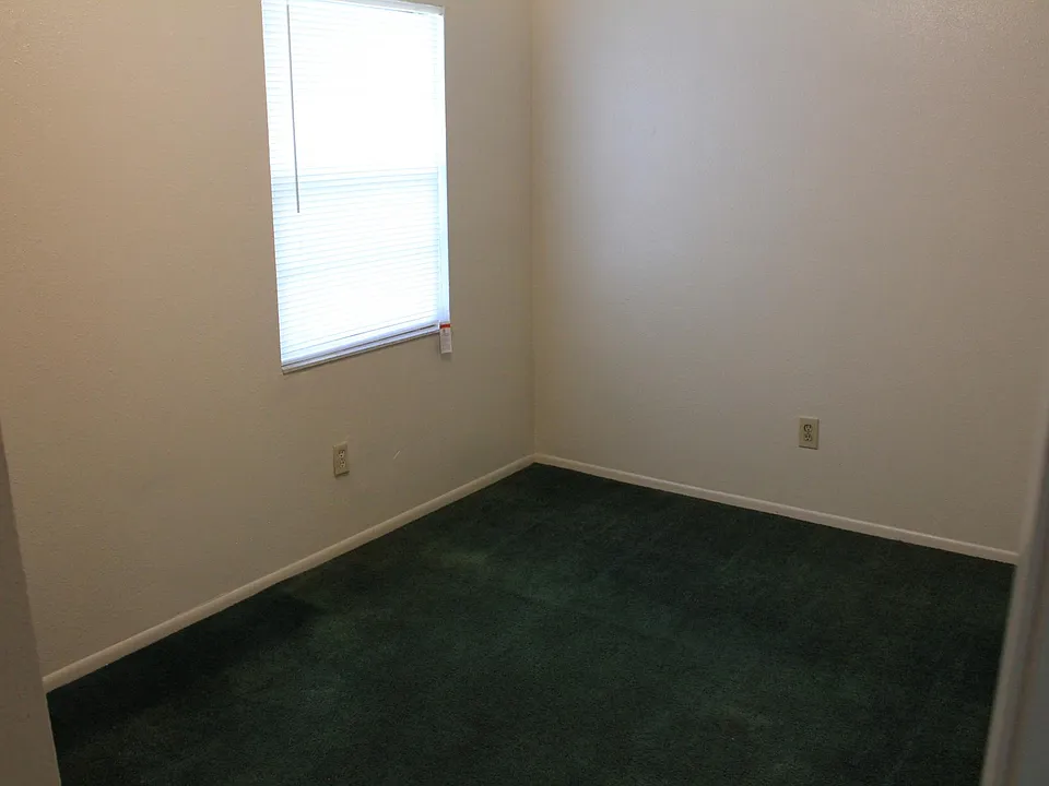 Back Bedroom