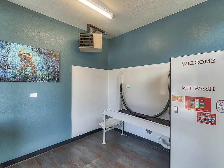 Bath time is stress-free at the Pet Wash