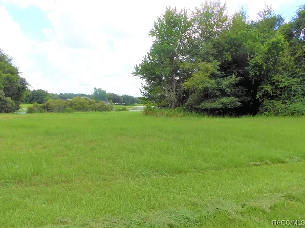 9546 E Baymeadows Dr, Inverness, FL 34450
