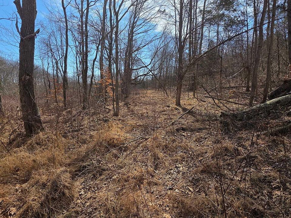 2nd image of Optical Rd