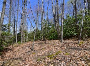 116 Sassafrass Rd, Banner Elk, NC 28604