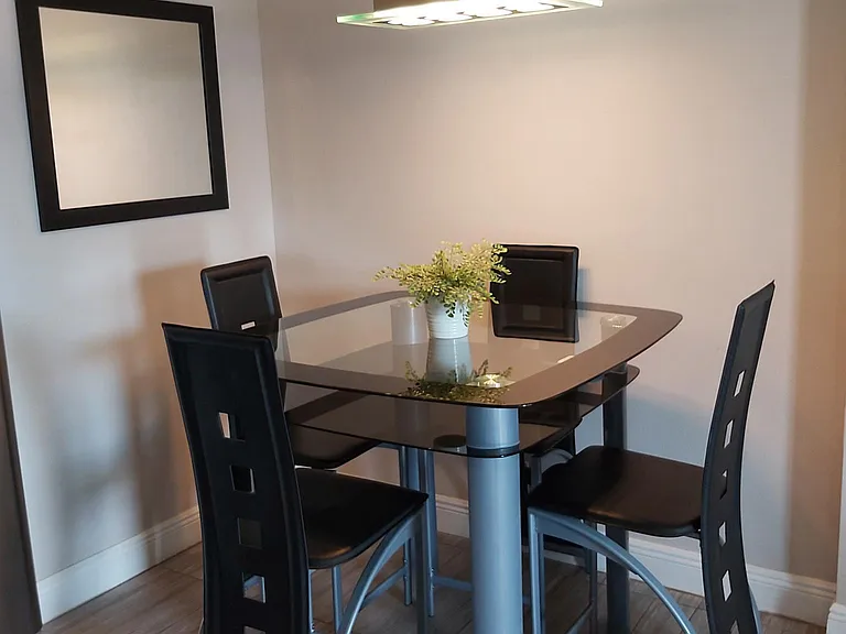 Dining room with glass table and 4 chairs. Wall mirror, wall clock, and Light.