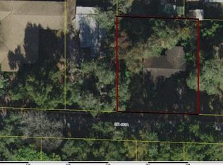 950 Co Rd #482A, Lake Panasoffkee, FL 33538