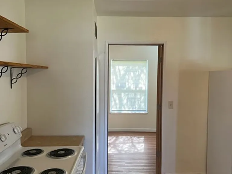 539 Palm St — Photo 6