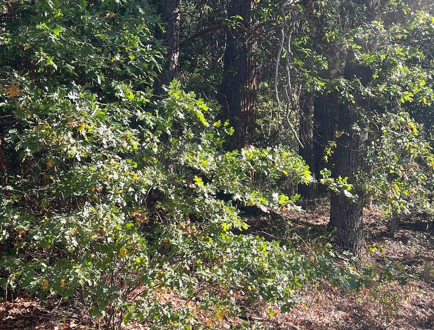 Fronts Hwy 96, Klamath River, CA 96050 MLS 20221356 Zillow