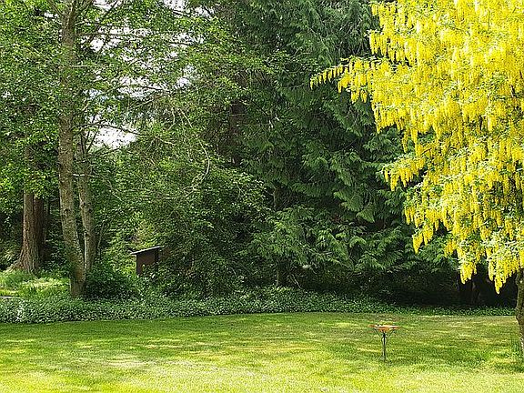 The Yard